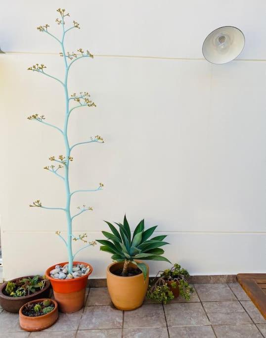 El Toyo Cactus Apartment