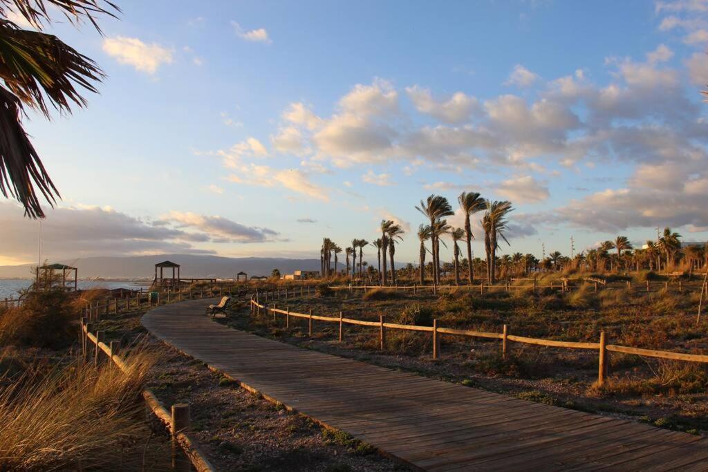 El Toyo Cactus * Almería